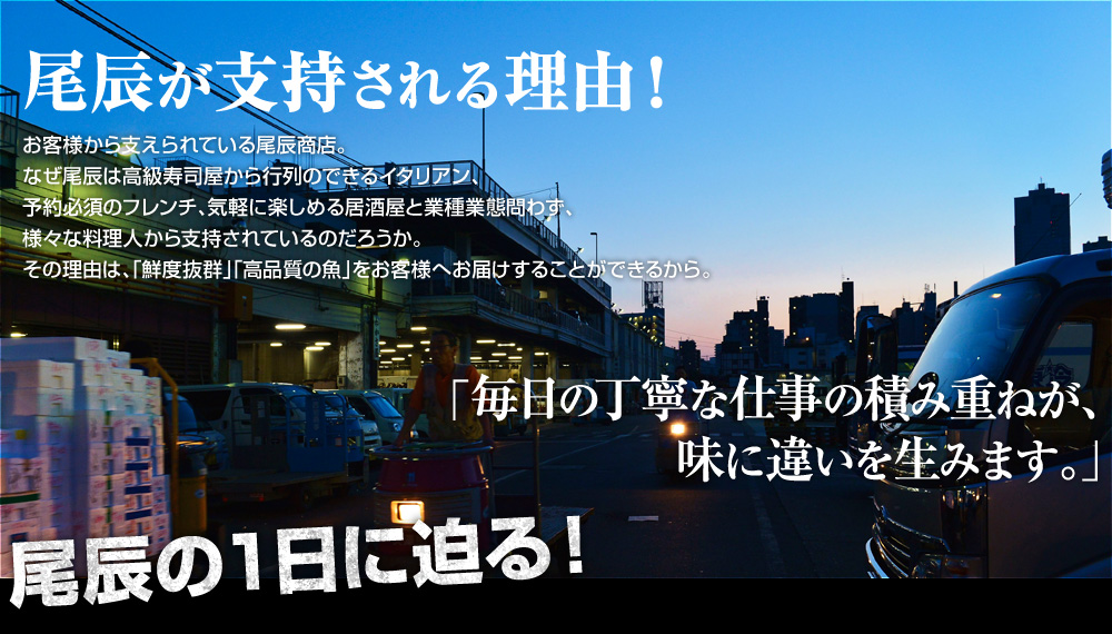 尾辰が指示される理由！